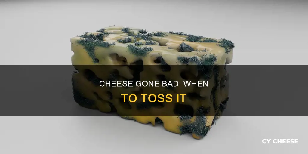 when cheese is bad