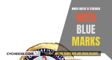 The Blue Veins of Cheese: A Delicious Mystery