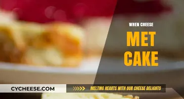 Cheese Meets Cake: A Savory-Sweet Dessert Revolution Unveiled