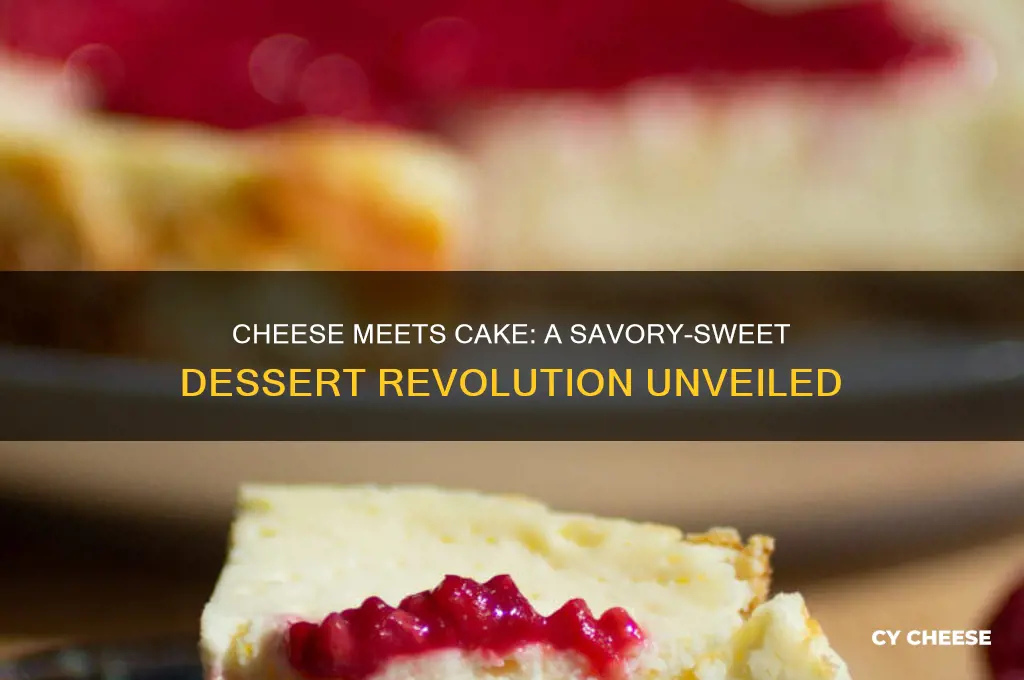 when cheese met cake