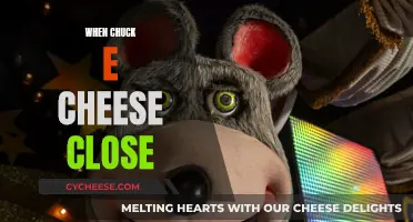 Chuck E. Cheese Shutdown: A Nostalgic Look Back