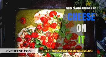 Cheese on Fish: A Culinary Adventure