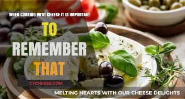 Cheese-Lovers' Guide: Cooking with Cheese, Remember This