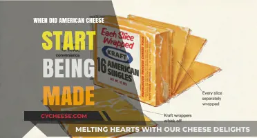 The Birth of American Cheese: A Historical Journey