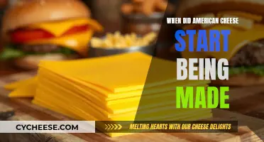 The Evolution of American Cheese: A Historical Overview