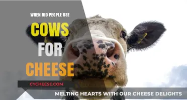 Cheese's Ancient History: Cows as Dairy Producers