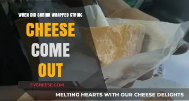The Surprising History of Shrink-Wrapped String Cheese: When Did It Debut?