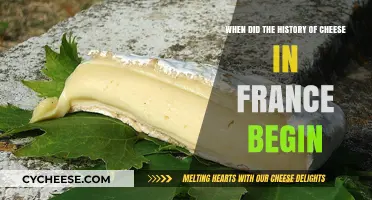 Exploring France's Ancient Cheese Origins: A Historical Journey