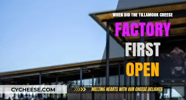Tillamook Cheese Factory's Historic Opening: A Journey Through Time