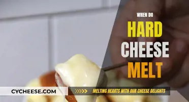 Cheese Melting: When Do Hard Cheeses Melt?
