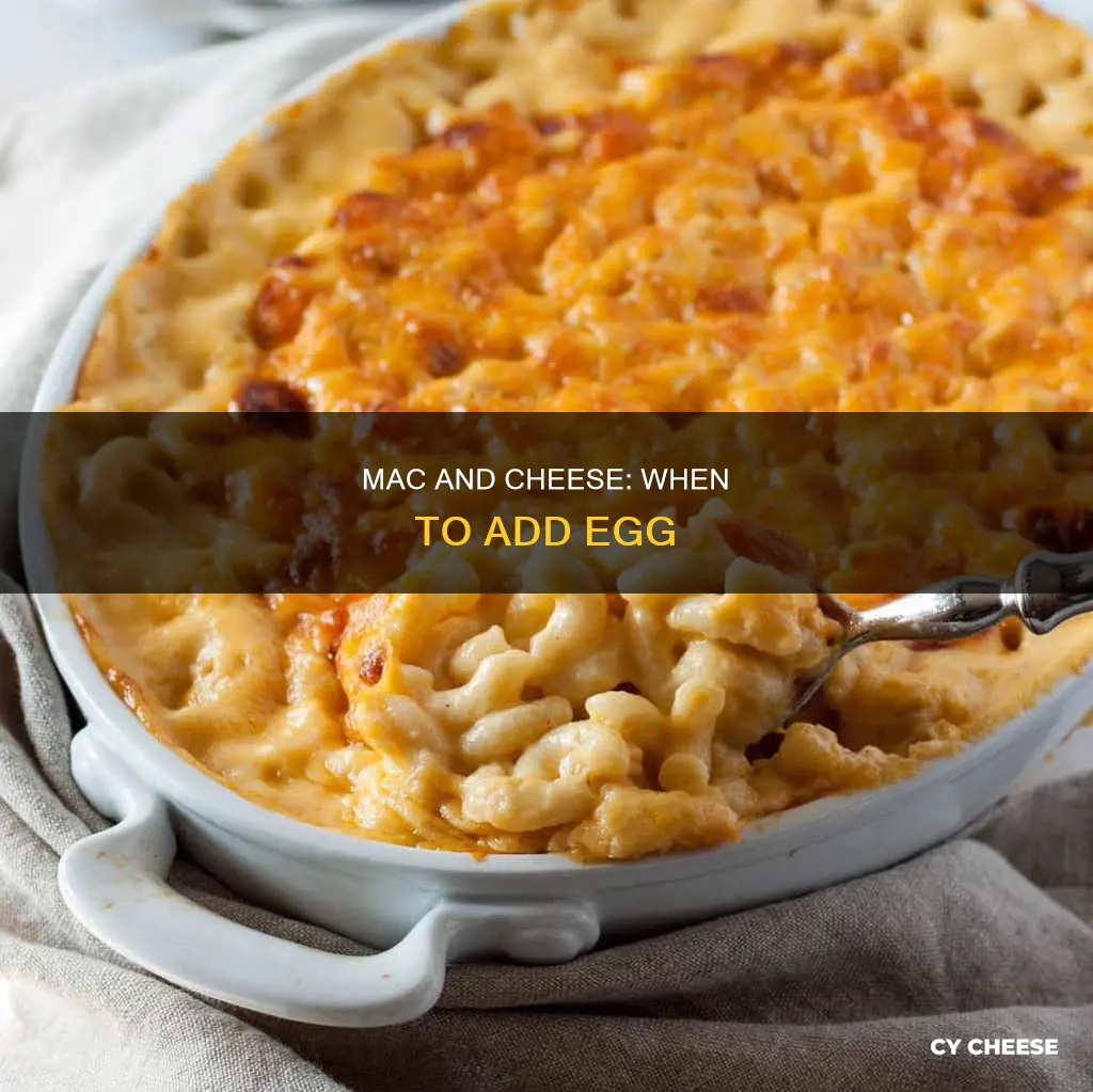 when do one apply egg to macaroni and cheese