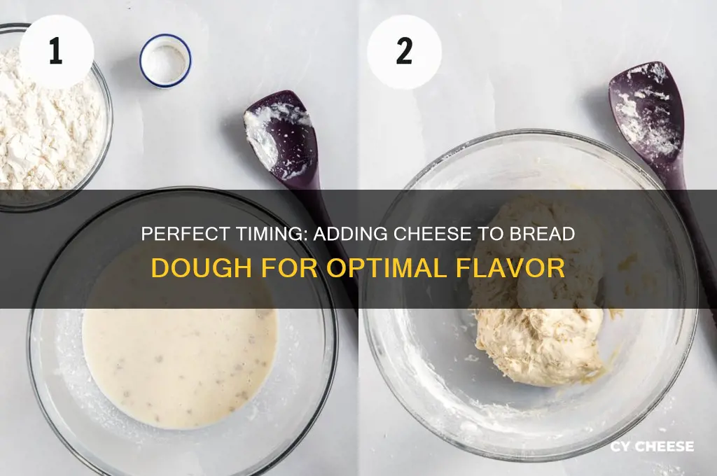 when do you add cheese to bread dough