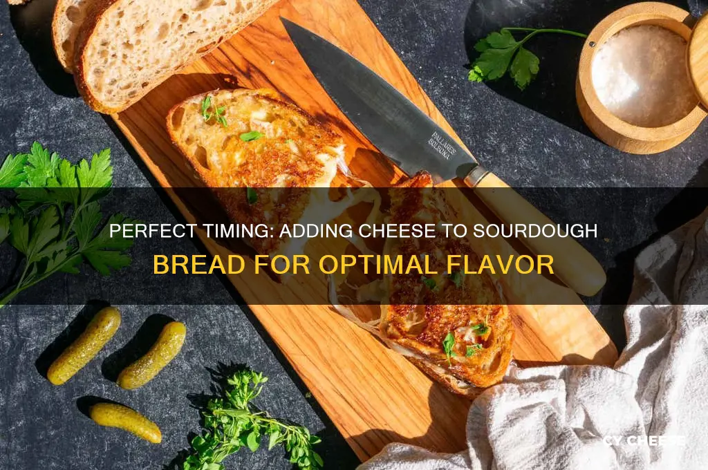 when do you add cheese to sourdough bread