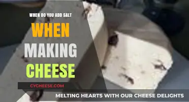 Perfect Timing: When to Add Salt in Cheese Making for Best Results