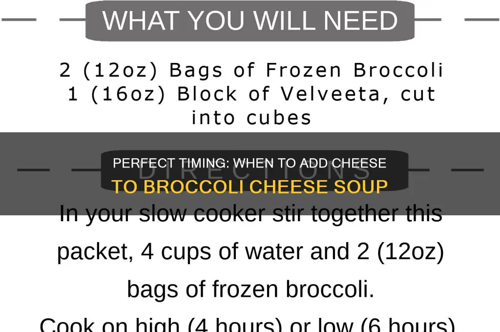 when do you add the cheese to broccoli cheese