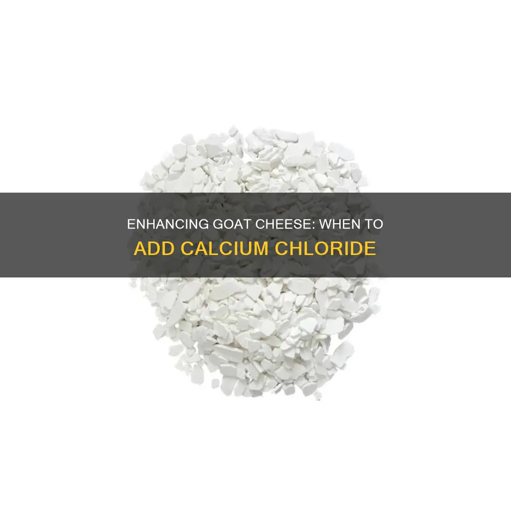 when do you put calicum chloride in goat cheese