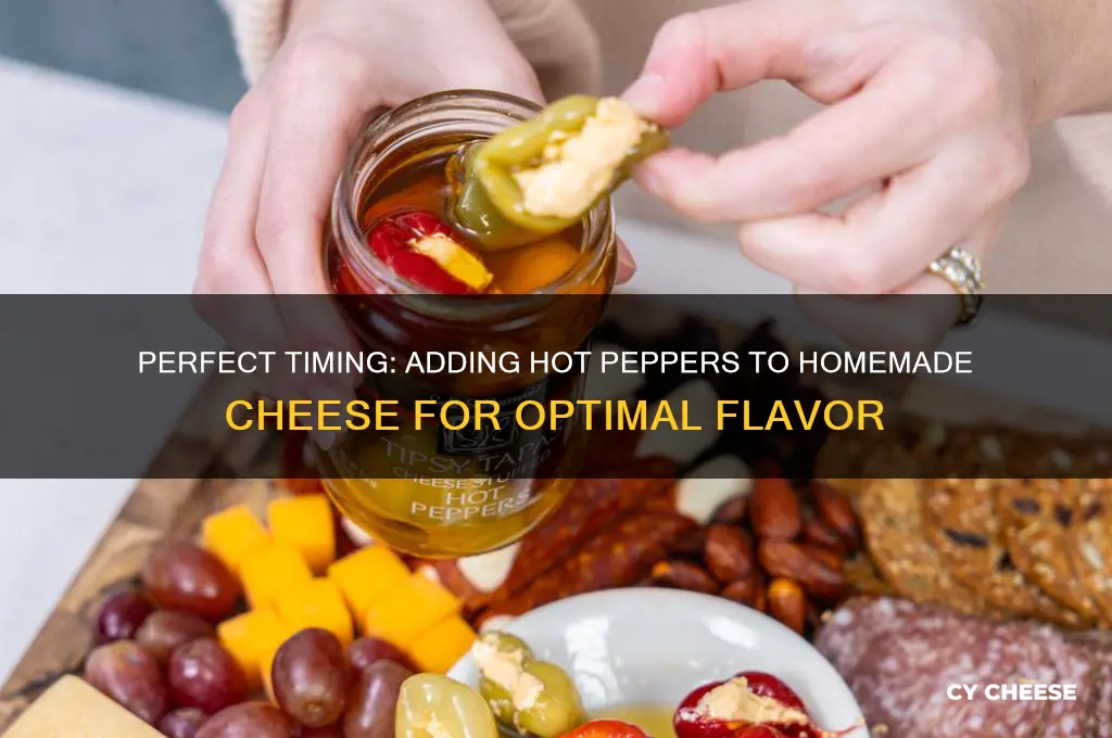 when do younadd hot peppers when making cheese