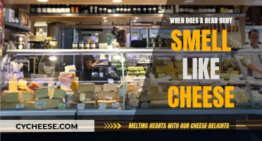 The Mystery of Cheesy Death: A Decomposition Tale