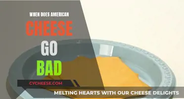 American Cheese: How Long Does it Last?