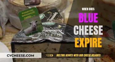 Blue Cheese: How Long Does It Last?