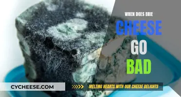 Brie Cheese: How Long Does it Last?