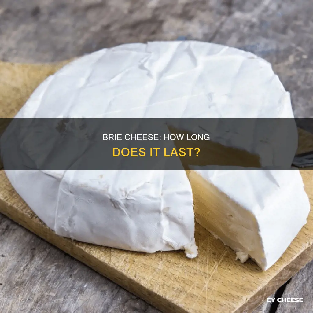 when does brie cheese go bad