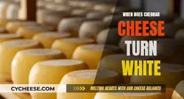 The Cheddar Conundrum: When Does It Turn White?