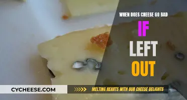 Cheese Left Out: How Long Does it Last?