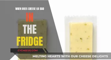 Cheese Storage: How Long Does Cheese Last?