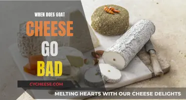 Goat Cheese Shelf Life: When Does It Go Bad?