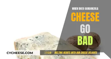 How Long Does Gorgonzola Cheese Last?
