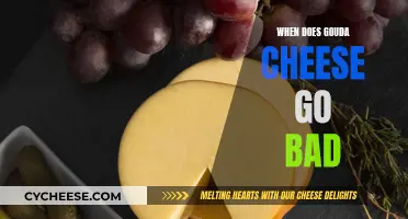 How Long Does Gouda Cheese Last?