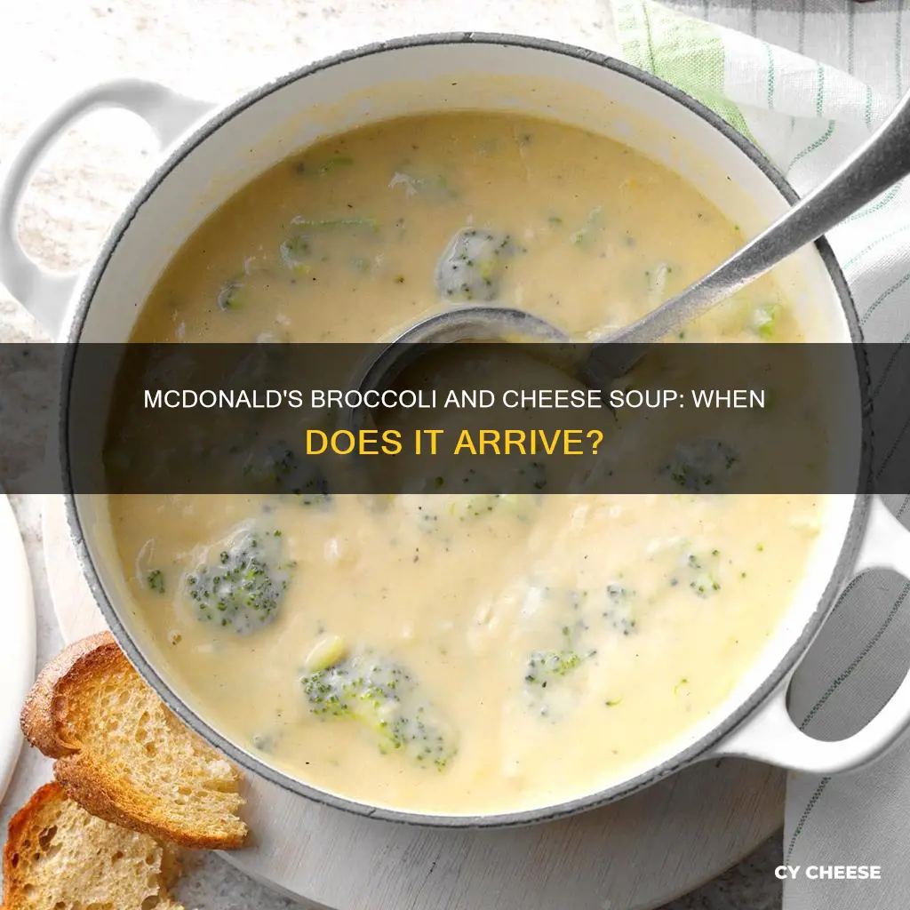 when does mcdonalds start serving broccoli and cheese soup