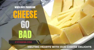 Provolone Cheese: How Long Does It Last?