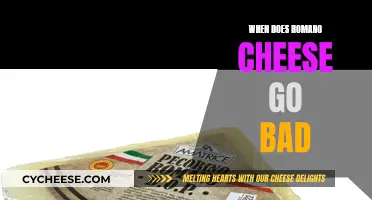 Romano Cheese: How Long Does it Last?