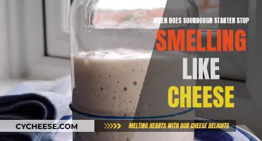 Sourdough Starter: When Does That Cheesy Smell Go?