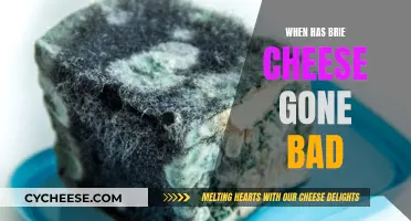 Brie Cheese: How to Tell if It's Gone Bad
