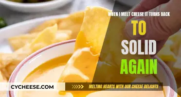 Cheese Melting Mystery: From Solid to Liquid to Solid