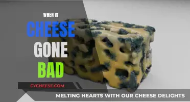 Cheese Gone Bad: How to Tell and What to Do