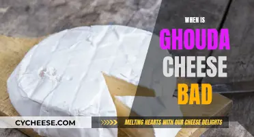 Gouda Gone Bad: When to Toss Your Cheese