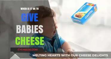 Introducing Cheese to Babies: Timing, Types, and Safety Tips