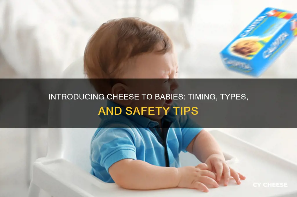 when is it ok to give babies cheese