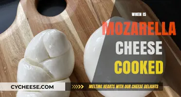 Mozzarella Melting: The Art of Cooking Cheese