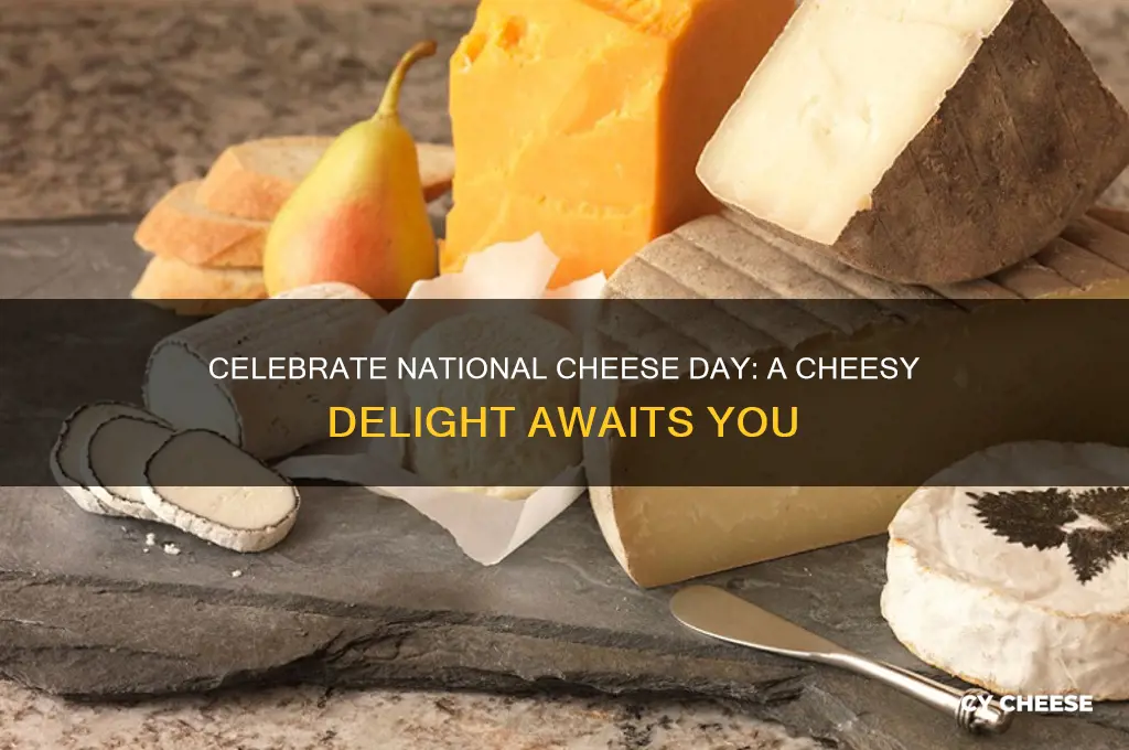 when is national cheese day