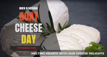 National Goat Cheese Day: A Festive Feast for the Senses