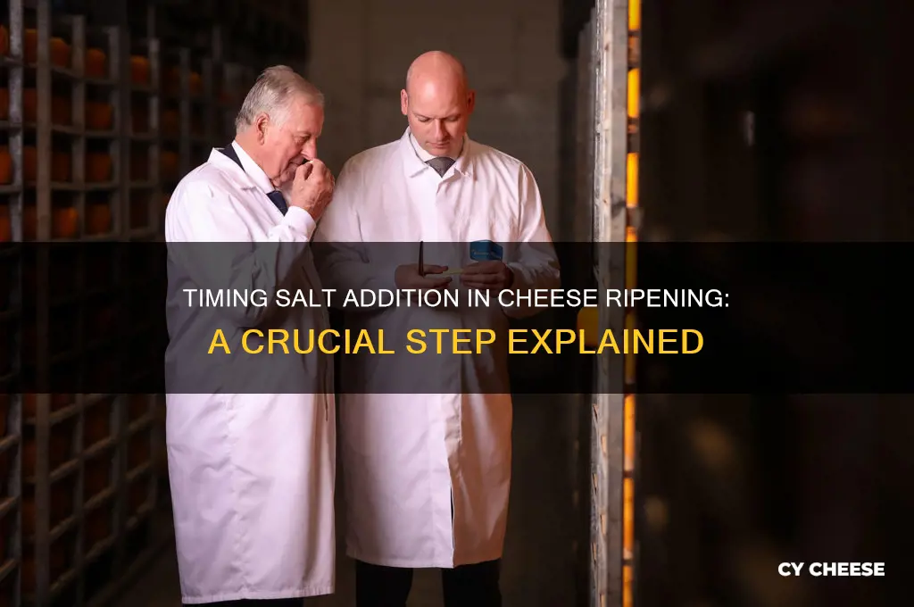 when is salt added in the ripening process of cheese