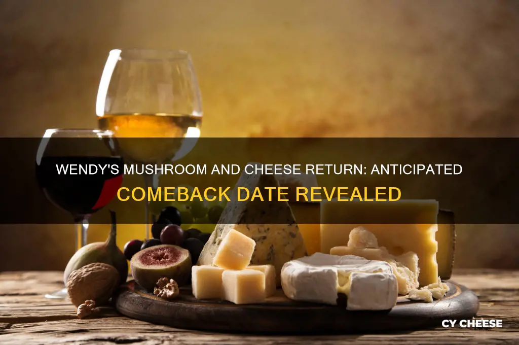 when is the mushroom and cheese coming back to wendy