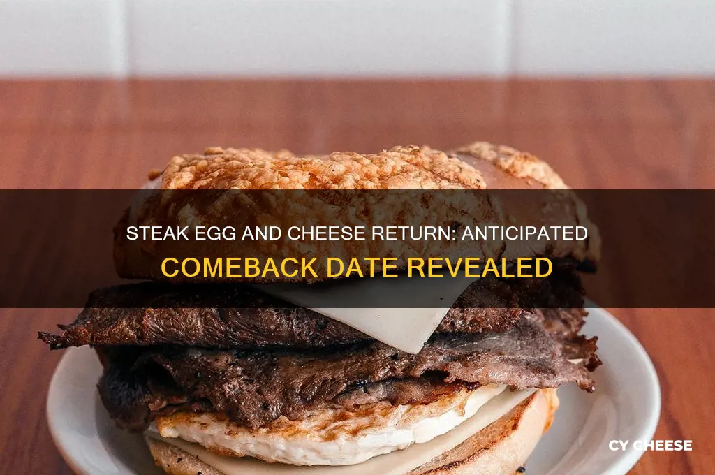 when is the steak egg and cheese coming back