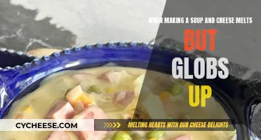 Cheese Soup: Melting or Messy Globs?