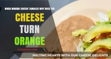 Why Does Cheese Turn Orange in Homemade Cheese Tamales?